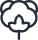 Satijnkatoen